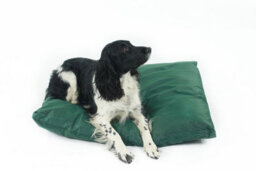 Actiaspet Large Green Waterproof Dog Bed Heavy Duty Cover