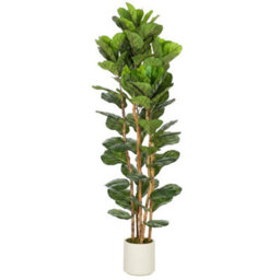 180Cm Artificial Fiddle Leaf Fig Tree With Solid Wood Trunks - thumbnail 1