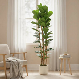 180Cm Artificial Fiddle Leaf Fig Tree With Solid Wood Trunks - thumbnail 5