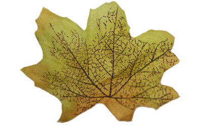 Best Artificial Loose Autumn Halloween Maple Leaves For Crafts Decoration - M2 - image 1
