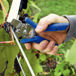 Rapid C50 Steel Hog Rings 4200 Pcs For Home Garden Securing Branches & Vine Shoots For Lig150 Vine Pliers - thumbnail 5