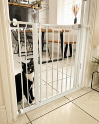 Bettacare Easy Fit Pressure Dog Gate, 113.8Cm - 121.8Cm, White, Pressure Fit Pet Gate For Dog And Puppy, Pet And Dog Barrier - thumbnail 6