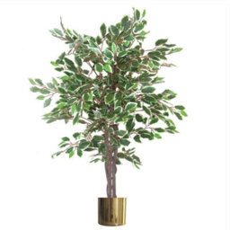 Leaf Artificial Ficus Tree Plant White Edge Twist 130Cm Plants Gold Metal Planter