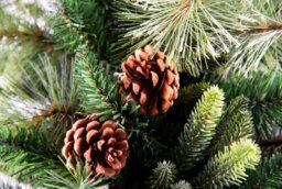 Shatchi 7Ft Californian Boulder Bushy Look Luxurious Forest Green Artificial Christmas Tree Pine Cones Hinged - thumbnail 8