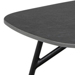Wyld Haus Rosefern Black Ceramic Oblong Coffee Table - thumbnail 5