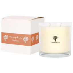 Nicola Spring 400G Soy Wax Scented Candle - Pumpkin Spice - 45 Hour Burn Time Relaxation Aromatherapy Gift Ready Jar Candle - thumbnail 1