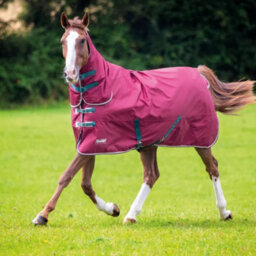 "Tempest Original 200 Combo Neck Horse Turnout Rug Maroon (4 3"")" - thumbnail 1