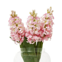 Wyld Haus Set Of 3 Pink Artificial Hyacinth Stems - Realistic Silk Flowers For Home Décor - thumbnail 3