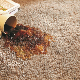 Washable Stone Thick Shaggy Rug, Easy To Clean Rug, Modern Plain Rug For Living Room, & Dining Room-80Cm X 120Cm - thumbnail 5