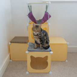 Cost Wise Cat Got The Cream House/tower,design & Build Feline Fun+Scratcher+Hammock+Blanket - thumbnail 3