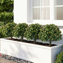 Gainoom Set Of 2 Artificial Holly & Red Berry Topiary Trees 60 Cm Sun-Protective Faux Evergreen Shrubs - thumbnail 9