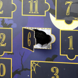 Something Different Shelf Of Shadows 12 Day Halloween Advent Calendar Black/blue/golden (One Size) - thumbnail 2