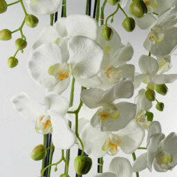 Leaf 110Cm Large White Orchid Plant - Artifcial - 41 Real Touch Flowers - thumbnail 2