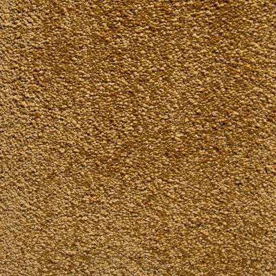 Molto Bella Luxury Deep Pile Carpet By Remland (Grande, 3M X 5M)