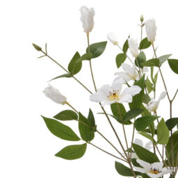 Hill Interiors White Florida Clematis Faux Plant - thumbnail 6