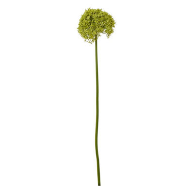 Wyld Haus Set Of 3 Green Giant Allium Artificial Flower Stems 900mm - image 1