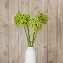 Wyld Haus Set Of 3 Green Giant Allium Artificial Flower Stems 900mm - thumbnail 4