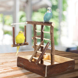 Petlicity Wooden Bird Playground Gym With Swing And Ladder - thumbnail 9