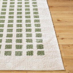 Livabliss Fossay Shaggy-Washable Beige Green Modern Hig Pile Living Bedroom Rug 200 X 275 Cm Easy Care, Non Shedding - thumbnail 5