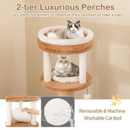 Costway Cat Tree For Indoor Cats 166 Cm Tall Kitty Tower W/self-Groomer-Caramel - thumbnail 7