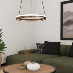 Loops Stylish Modern Design Bronze And Black Led Indoor Pendant Ceiling Light