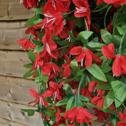 Best Artificial 90Cm Trailing Lily Hanging Basket With 480 Red Flowers In Rattan Wicker Basket For Indoor Or Garden Use - thumbnail 5