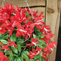 Best Artificial 90Cm Trailing Lily Hanging Basket With 480 Red Flowers In Rattan Wicker Basket For Indoor Or Garden Use - thumbnail 3