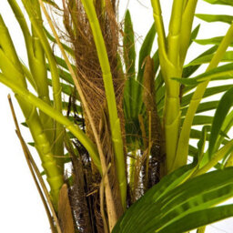 GreenBrokers Artificial Finger Fan Palm Tree In Pot 4Ft/120Cm - thumbnail 4
