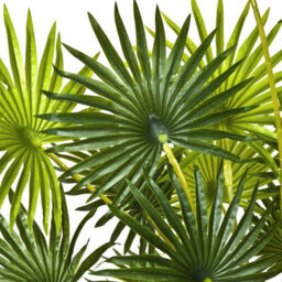 GreenBrokers Artificial Finger Fan Palm Tree In Pot 4Ft/120Cm - thumbnail 3