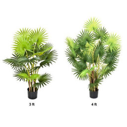 GreenBrokers Artificial Finger Fan Palm Tree In Pot 4Ft/120Cm - thumbnail 5