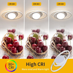 Pheashine White Round Led Ceiling Light Modern Design 3000K Warm - thumbnail 4