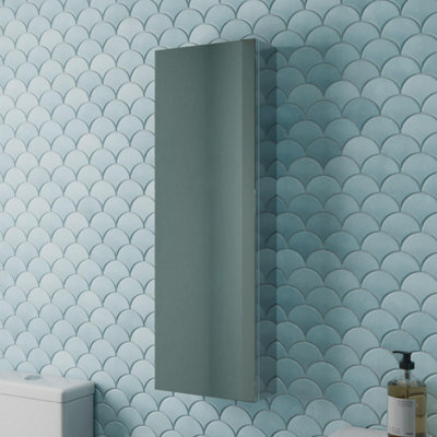 Aveli Tall Bathroom Mirror Cabinet 1 Door Stainless Steel Wall Mounted Pre-Assembled 300X900mm - image 1