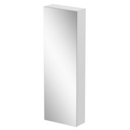 Aveli Tall Bathroom Mirror Cabinet 1 Door Stainless Steel Wall Mounted Pre-Assembled 300X900mm - thumbnail 2