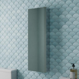 Aveli Tall Bathroom Mirror Cabinet 1 Door Stainless Steel Wall Mounted Pre-Assembled 300X900mm - thumbnail 1