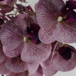 Leaf 100Cm Artificial Phalaenopsis Orchid Purple Stem - thumbnail 2