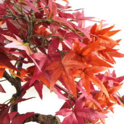 Leaf Artificial Bonsai Tree Red Maple Bonsai 50Cm Trees Plant - thumbnail 2