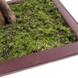 Leaf Artificial Bonsai Tree Red Maple Bonsai 50Cm Trees Plant - thumbnail 4