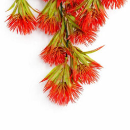 Leaf Pack Of 6 X 75Cm Artificial Red Trailing Hanging Plant Faux Floral - thumbnail 2
