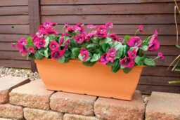Best Artificial 30Cm Pink Pansy Plug Plant - Pot Not Included - thumbnail 4