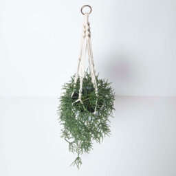 Homescapes Artificial Green Handcrafted Hanging Basket Rhipsalis Plant, 116 Cm - thumbnail 2