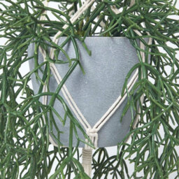 Homescapes Artificial Green Handcrafted Hanging Basket Rhipsalis Plant, 116 Cm - thumbnail 3