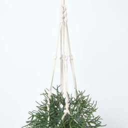 Homescapes Artificial Green Handcrafted Hanging Basket Rhipsalis Plant, 116 Cm - thumbnail 5