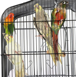 Xample 37 Large Metal Bird Cage Carrier For Parrots, Budgies, Cockatiels Durable Iron Frame, Open Top Play Area, 3 Perches, 4 Feeders - thumbnail 3
