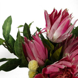 Leaf Pack Of 6 X 65Cm Protea Sugarbush Flower Stem - Pink - thumbnail 5