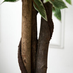 Outsunny 160Cm/5.2Ft Artificial Ficus Tree Fake Plant In Pot Indoor - thumbnail 9