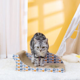 Nobleza Cat Scratcher, Reversible Use Cat Scratching Board, Curved Cat Scratch Lounge Bed Sofa With Catnip - thumbnail 4