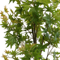 True Products Artificial Green Maple Tree 165Cm - thumbnail 2