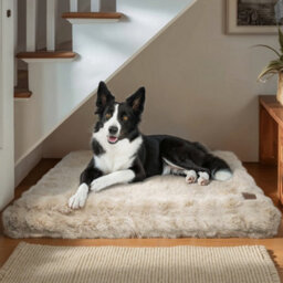 Bingopaw 120Cm Dog Bed Pet Calming Cushion Mat Washable Soft Warm Plush Mattress, Khaki Beige - thumbnail 9