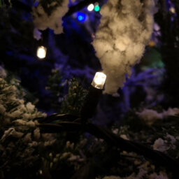 Samuel Alexander 100 Led 8M Premier Christmas Connectable Outdoor Static Lights In Warm White - thumbnail 4