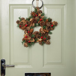 Samuel Alexander 35Cm Winter Spice Star Hanging Christmas Wreath With Pine Cones Red Berries & Dried Fruit - thumbnail 3